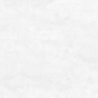 Flagman Керамогранит светло-серый K952736R0001LPET 60x60