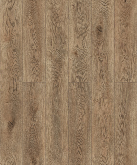 D50607 AF Дуб Бенджамин