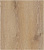 PRK501 Дуб Тренд 