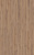 D80622 Дуб Норфолк бронзовый D80622 Дуб Норфолк бронзовый