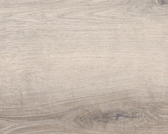 4017 Дуб Фолибер