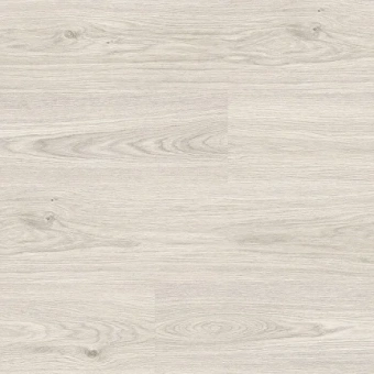 8017 Дуб Анри