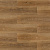 2204 Дуб легкий