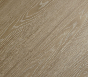 Дуб Черноморский