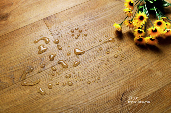 ST301 Дуб Вега