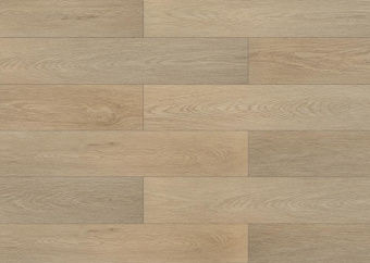 3309 Дуб брауни