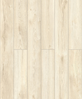 D40067 Дуб Арена