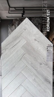 821 Дуб Острава