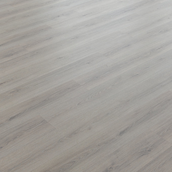 NC81 Дуб Вальфорд