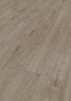 4691 Дуб Севилья