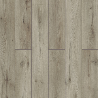 59787 Дуб Годавари