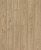 D50567 Дуб Лейнстоун