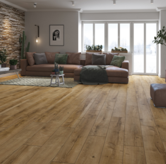 56620 Дуб Байкал