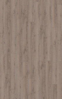 4727 Дуб горный серый