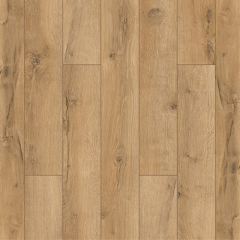 ID97 Дуб Абрис