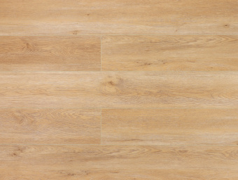 Дуб Монтара