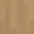 AVSPU40278 Дуб Пряничный