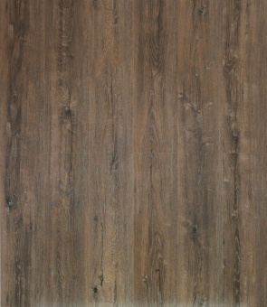 2079 Дуб Миллениум