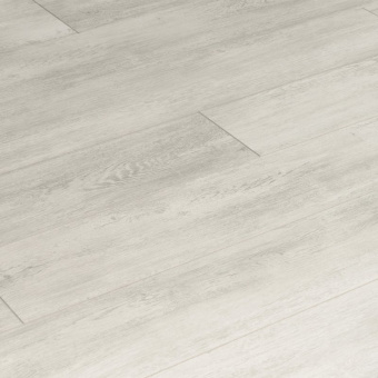 ID96 Дуб Раут