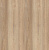 SF02 Дуб Миланский
