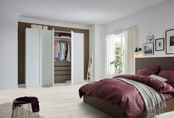 4984 ДУБ ВОСТОЧНЫЙ БЕЛЫЙ