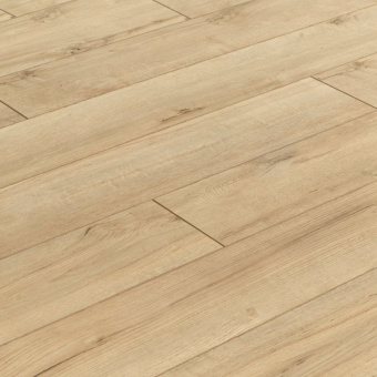  ID104 Дуб Офорт