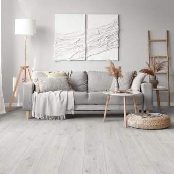 ID72 Дуб Грейс