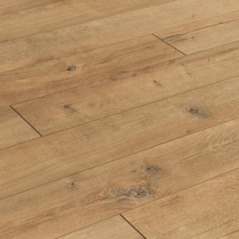 ID97 Дуб Абрис