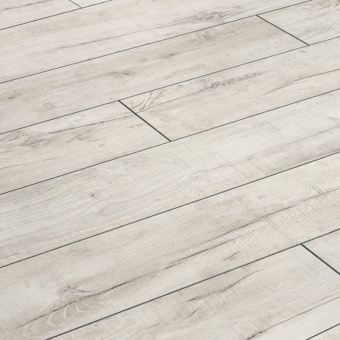 ID77 Дуб Гольбейн 