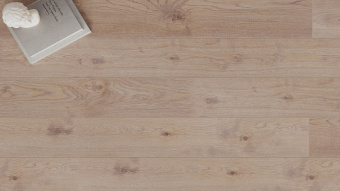 LM31 Дуб Бари