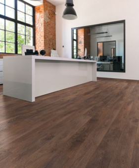 8633 Дуб Шейр