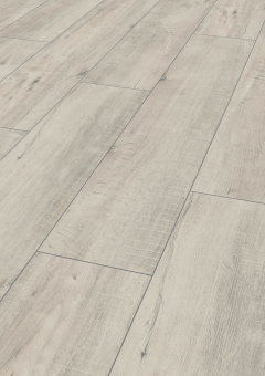 4787 Дуб Гала белый