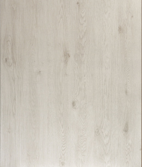 7061 Дуб Анвер