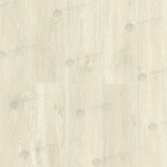 ECO 11-102 Эвкалипт