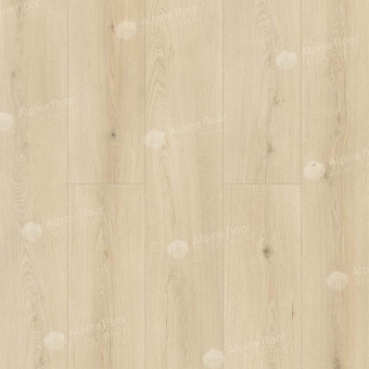 ECO 11-2602 Кипарисовая ель