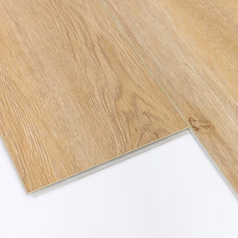 Дуб Монтара