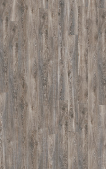 4796 Дуб горный Титан