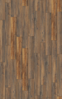 3570 Дуб портовый