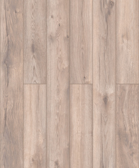 D40447 Дуб Мальва