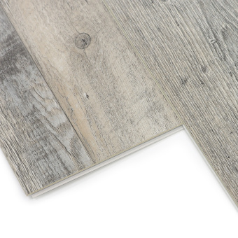 Дуб Марсель 