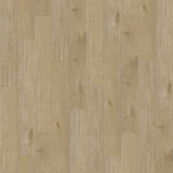 6112 Дуб Бельгард