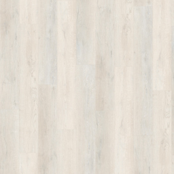   5637 Дуб Эклипс